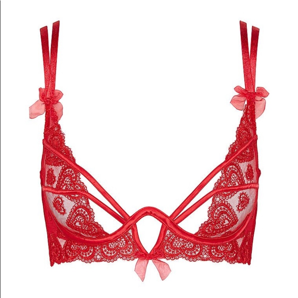 For Love and Lemons Lace Heart Embroidery Bra